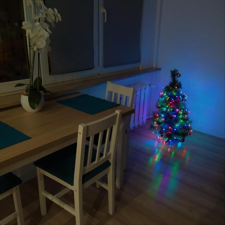 Apartament Toruń Dreams Zewnętrze zdjęcie